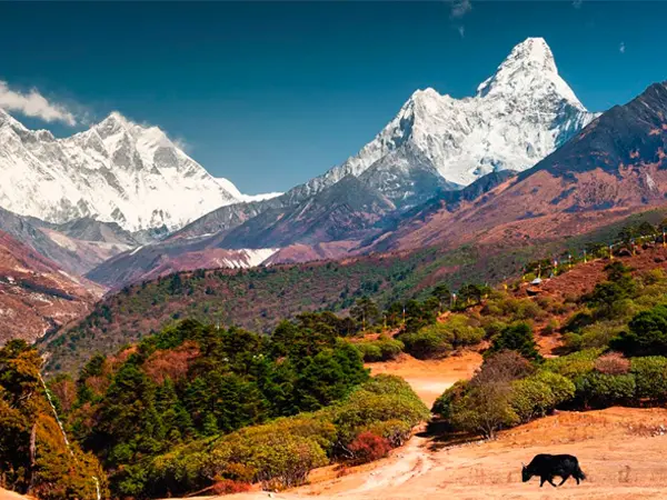 Nepal Luxury Tour in October