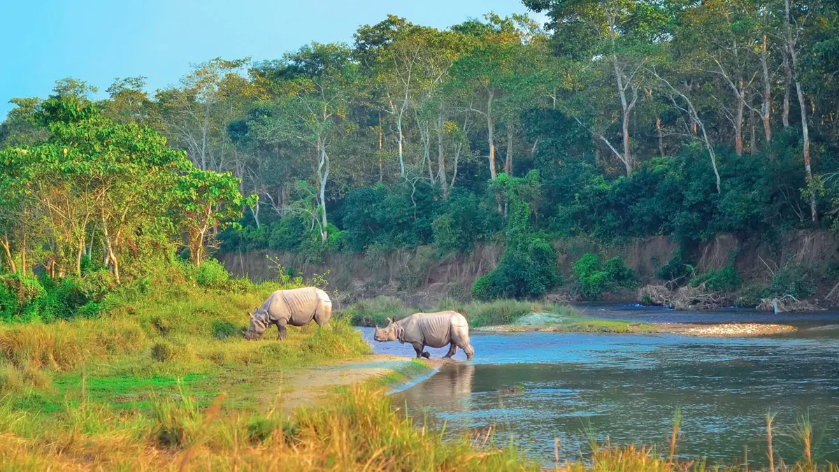 Chitwan Wildlife Luxury Tour