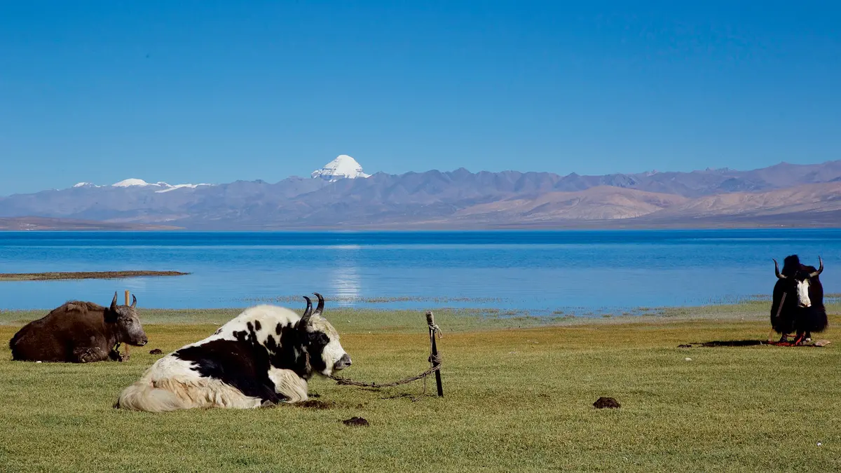 Kailash Mansarovar Luxury Tour