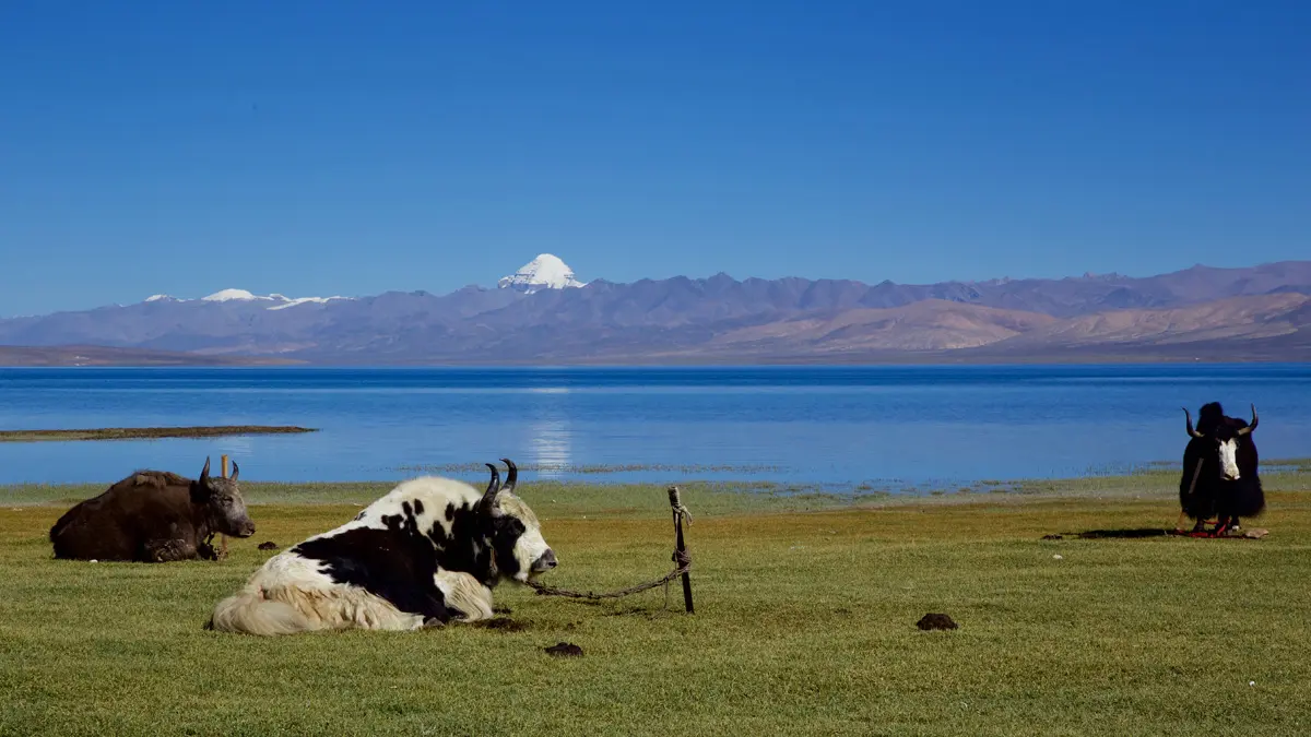 Kailash Luxury Tour from Lhasa