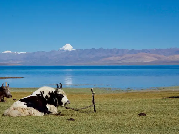 Kailash Mansarovar Lake